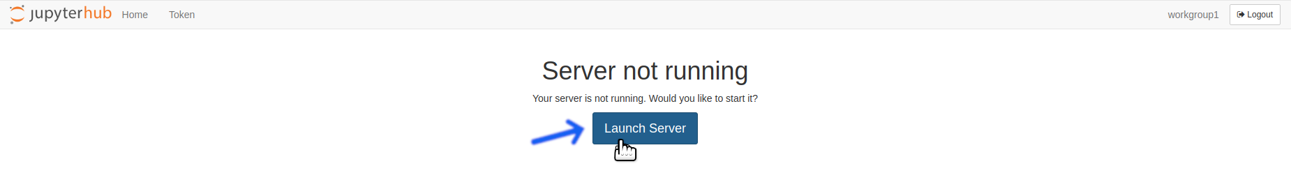 Click the Launch Server button