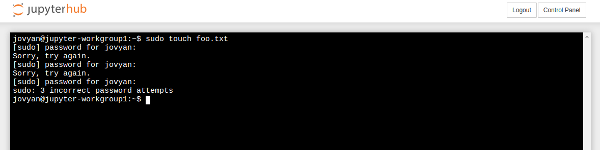 An open terminal window with unsuccessful attempt to use sudo.