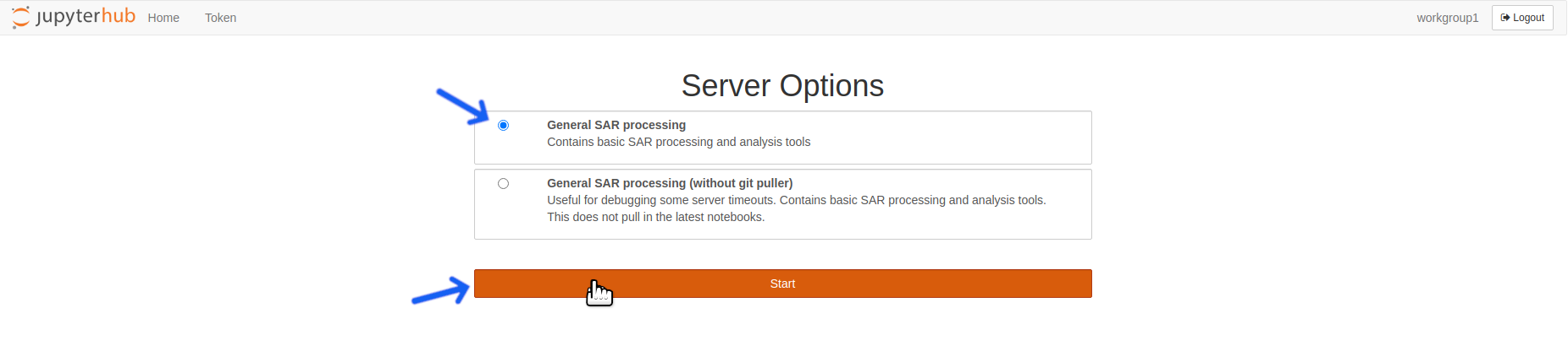 Select a server option and click the start button