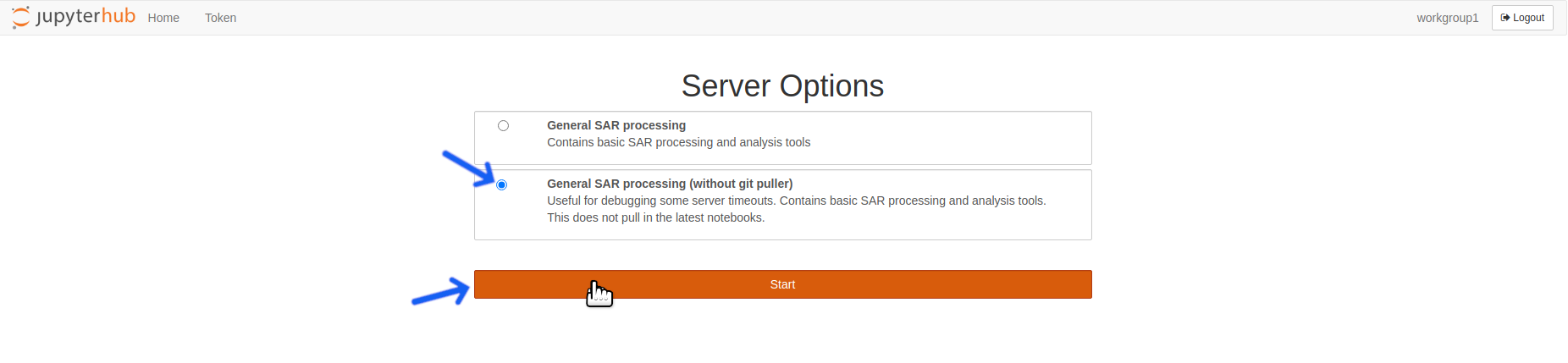 The "General SAR processing (without git puller)" server option is below the "General SAR processing" option.