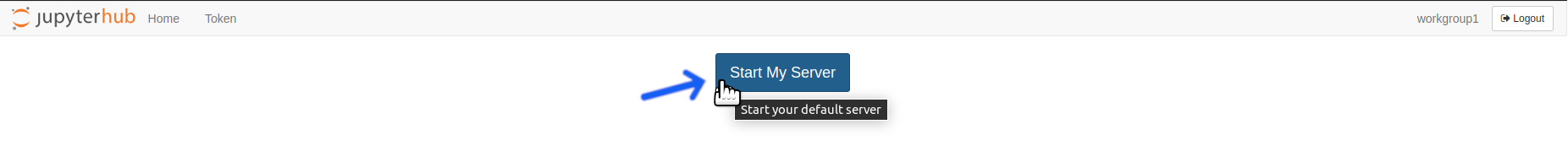 Click the Start My Server button