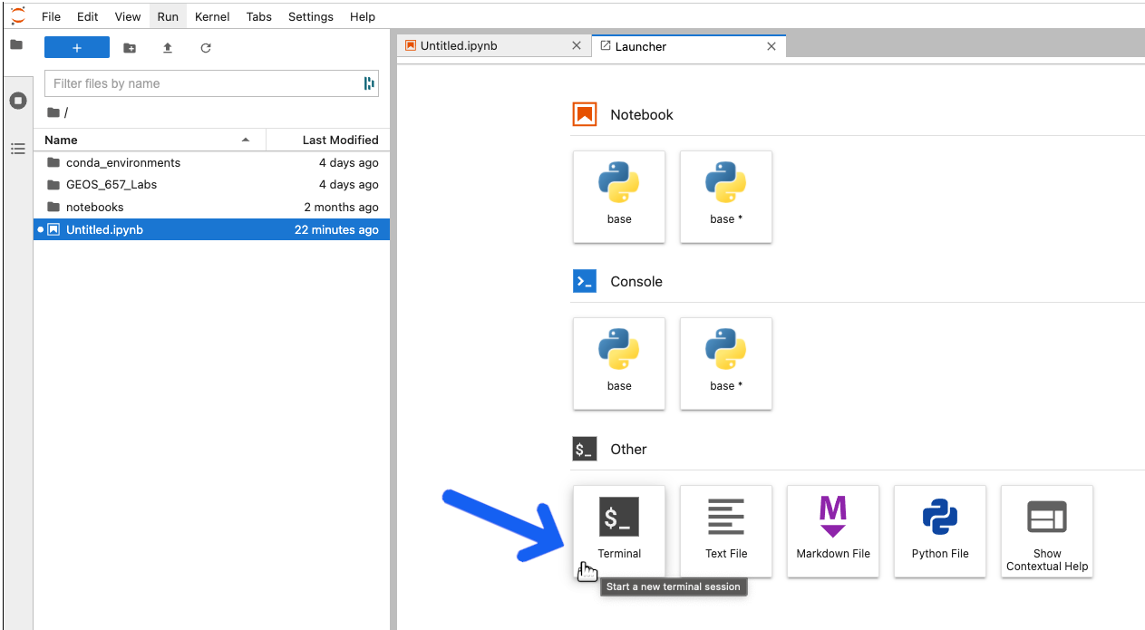 The JupyterLab Terminal button.