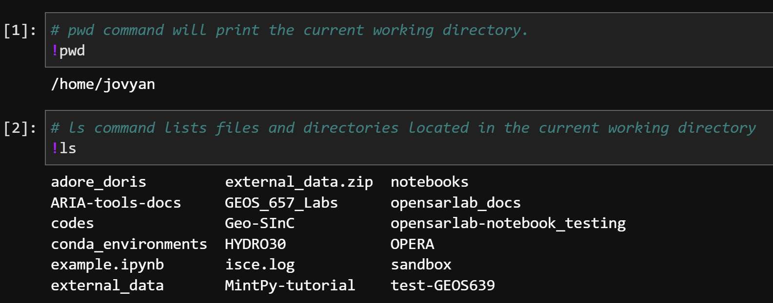 Using ! to run shell commands in a Jupyter Notebook.