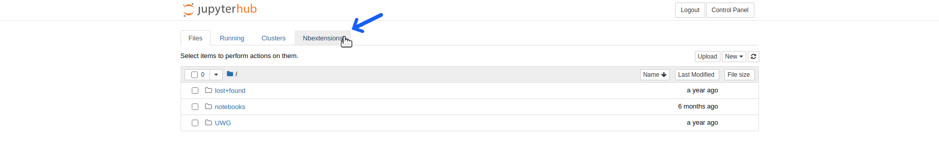 Selecting the nbextensions tab.