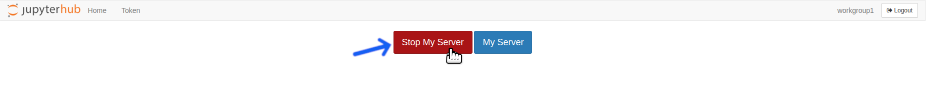 Click the Stop My Server button